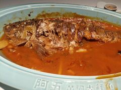 -阿五黄河大鲤鱼(纬三路店)