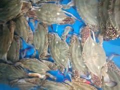 -宾朋海鲜特色美食餐厅·纯手工鲅鱼水饺(兴海路店)