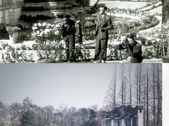 -音乐台