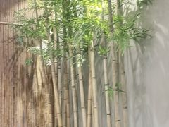 -故里湘(嘉里城店)