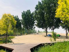-东郊湿地公园