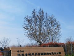 -汉长安城未央宫国家考古遗址公园