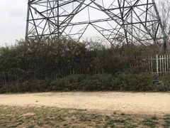 -紫颐香薰山谷景区