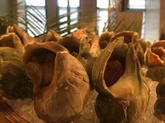 -太原富力万达文华酒店·美食汇西餐厅