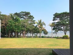 -深圳湾公园(南山区)