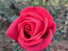 -文华公园(禅城区)