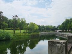 -眉山湿地公园(东坡区)