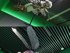 -杭州工艺美术博物馆