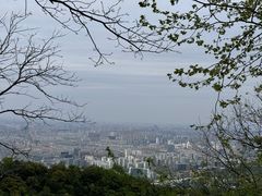 -灵顺寺