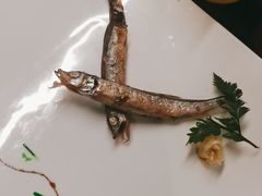 -黑松白鹿(金融街店)