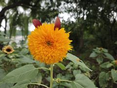 -北陵公园