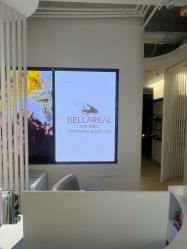 -BELLAREAL新美社