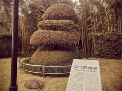 -苏州河梦清园环保主题公园