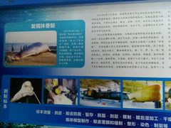 -上海海洋大学鱼文化博物馆(军工路校区)