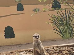 -石家庄市动物园