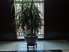 -大榭国际大酒店