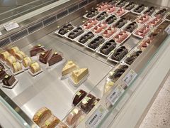 -奈雪的茶(石家庄万象城店)