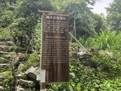 -上甘棠村