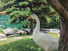 -扬州瘦西湖温泉