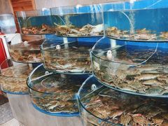 -蓝珊甄选海鲜自助·火锅大排档(近阿那亚店)