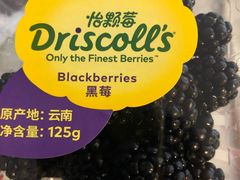 -果叔叁拾加(锦绣生态园店)