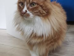 -吉派索自家烘焙咖啡馆(千佛山店)