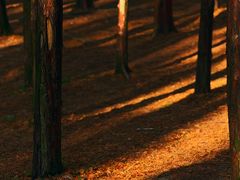 -山王坪喀斯特国家生态公园