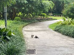 -晓港公园