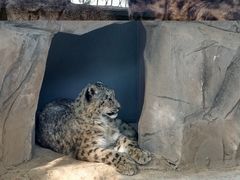 -青藏高原野生动物园