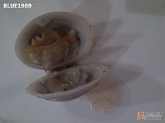 蛤蜊-义乌香格里拉•食尚汇MIX