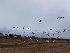 -青海湖二郎剑景区