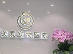 -关爱宠物医院·猫科中心·消化科(滨湖万达分院)