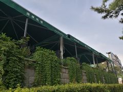 -海岸风情蒸汽海鲜自助餐厅(家宴金手勺店)