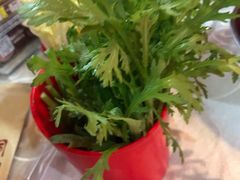 -羊家胡同·龙虾烧烤火锅(龙汇路店)