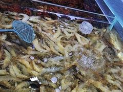 -聚盛源蒸汽海鲜火锅烤肉自助(巨川金海岸购物广场店)