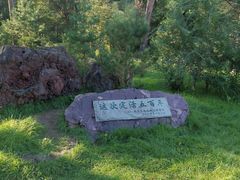 -美人松苑