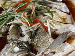 翘嘴鲌鱼-丹江渔村(望京店)