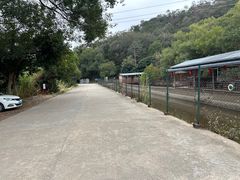 -水库河鲜村