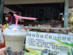 -莫里热带雨林景区