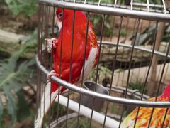 -南宫五洲植物乐园