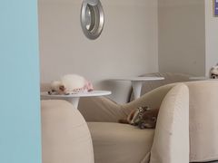 -怪兽屋·羊驼·猫咖·狗咖(俊华广场店)