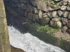 -将军关探险漂流