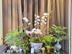 -La Maison 夜来香(进贤路店)