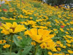 -艾溪湖湿地公园