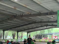 -北戴河集发农业梦想王国