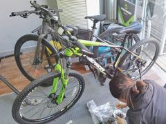 -道路口单车爱瓦士dahon大行