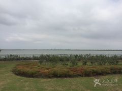 -江滩湿地公园