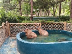 -北京野生动物园