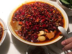 -初蓉丨遇见新川菜(亲贤街荣耀店)
