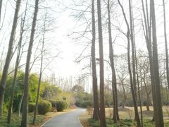 -上海滨江森林公园